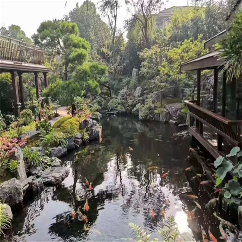 儋州庭院小型鱼池假山图片